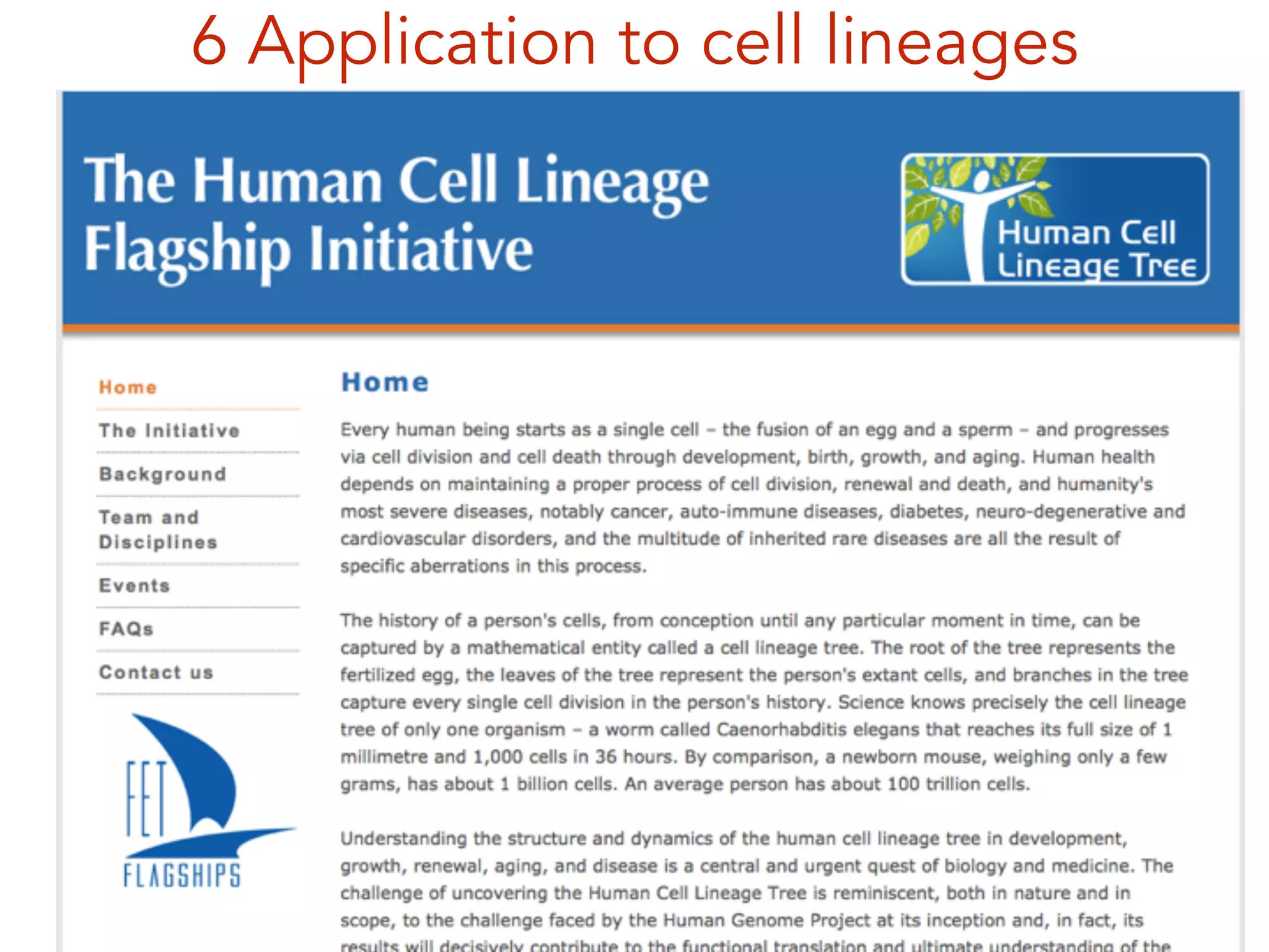 6 Application to cell lineages
 