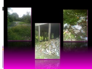 PREGUNTAS¿Cuál es el residuo que con mas frecuencia contamina tu comunidad?R/ El residuo que con mas frecuencia contamina mi comunidad es el papel, las botellas de plástico y el vidrio2. ¿Cuáles son las posibles consecuencias  de este tipo de residuos ?R/ Las posibles consecuencias de este tipo de residuo es que en el caso del vidrio muchas veces hay accidentes y con los otros es que muchas veces dan un mal aspecto a la ciudad3. ¿Qué es posible hacer en tu comunidad para mitigar  los efectos de este residuo?R/ Lo que se debería hacer para mitigar seria haciendo campañas y haciendo un buen proceso de recolección de residuos solidos clasificándolos como corresponde.