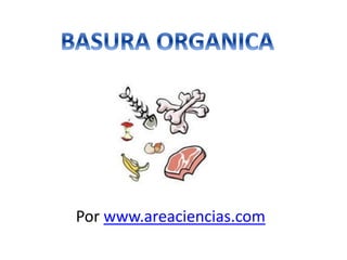 Por www.areaciencias.com
 