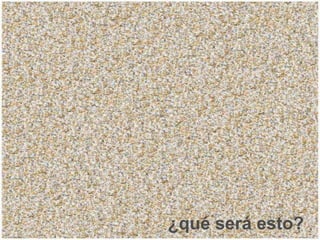 ¿qué será esto?
 