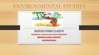 Basvas farm PPT Basvas farm PPT
