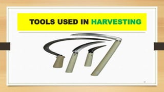 Basvas farm PPT Basvas farm PPT