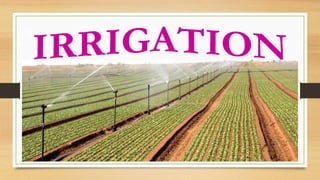 Basvas farm PPT Basvas farm PPT