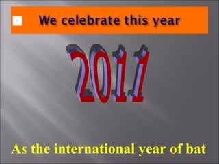 2011  As the international year of bat 