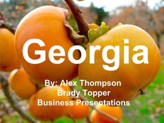Georgia
 By: Alex Thompson
    Brady Topper
Business Presentations
 