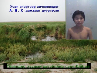 Усан спортоор хичээллэдэг A ,  B ,  C  дамжааг дүүргэсэн Төгөлдөр хуурын дугуйланд сурч байгаа 
