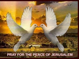 Bat-Zion Susskind-Sacks