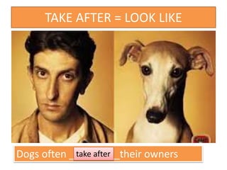TAKE AFTER = LOOK LIKE
Dogs often _________their ownerstake after
 