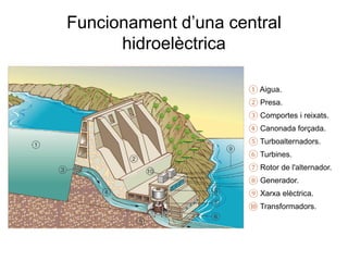 Funcionament d’una central
hidroelèctrica
① Aigua.

② Presa.
③ Comportes i reixats.
④ Canonada forçada.
⑤ Turboalternadors.
⑥ Turbines.
⑦ Rotor de l'alternador.
⑧ Generador.
⑨ Xarxa elèctrica.
⑩ Transformadors.

 