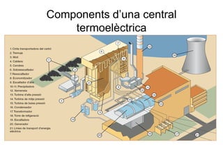 Components d’una central
termoelèctrica

 