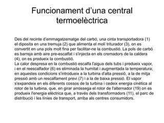 Funcionament d’una central
termoelèctrica
Des del recinte d’emmagatzematge del carbó, una cinta transportadora (1)
el diposita en una tremuja (2) que alimenta el molí triturador (3), on es
convertit en una pols molt fina per facilitar-ne la combustió. La pols de carbó
es barreja amb aire pre-escalfat i s'injecta en els cremadors de la caldera
(4), on es produeix la combustió.
La calor despresa en la combustió escalfa l'aigua dels tubs i produeix vapor,
i en el reescalfador (6) es eliminada la humitat i augmentada la temperatura;
en aquestes condicions s'introdueix a la turbina d'alta pressió, a la de mitja
pressió amb un rescalfament previ (7) i a la de baixa pressió. El vapor
s'expandeix en els diferents cossos de la turbina i cedeix energia cinètica al
rotor de la turbina, que, en girar arrossega el rotor de l'alternador (19) on es
produeix l'energia elèctrica que, a través dels transformadors (11), el parc de
distribució i les línies de transport, arriba als centres consumidors.

 