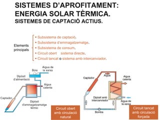 SISTEMES D’APROFITAMENT:
ENERGIA SOLAR TÈRMICA.
SISTEMES DE CAPTACIÓ ACTIUS.
 Subsistema de captació.
Elements
principals

 Subsistema d’emmagatzematge.
 Subsistema de consum.
 Circuit obert o sistema directe.
 Circuit tancat o sistema amb intercanviador.

Circuit obert
amb circulació
natural

Circuit tancat
amb circulació
forçada

 