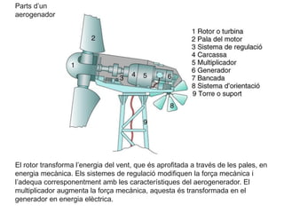 Parts d’un
aerogenador

El rotor transforma l’energia del vent, que és aprofitada a través de les pales, en
energia mecànica. Els sistemes de regulació modifiquen la força mecànica i
l’adequa corresponentment amb les característiques del aerogenerador. El
multiplicador augmenta la força mecànica, aquesta és transformada en el
generador en energia elèctrica.

 