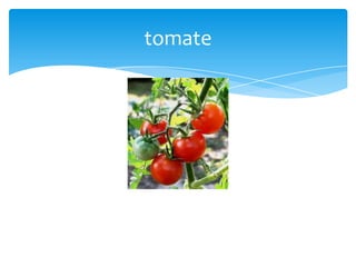 tomate

 