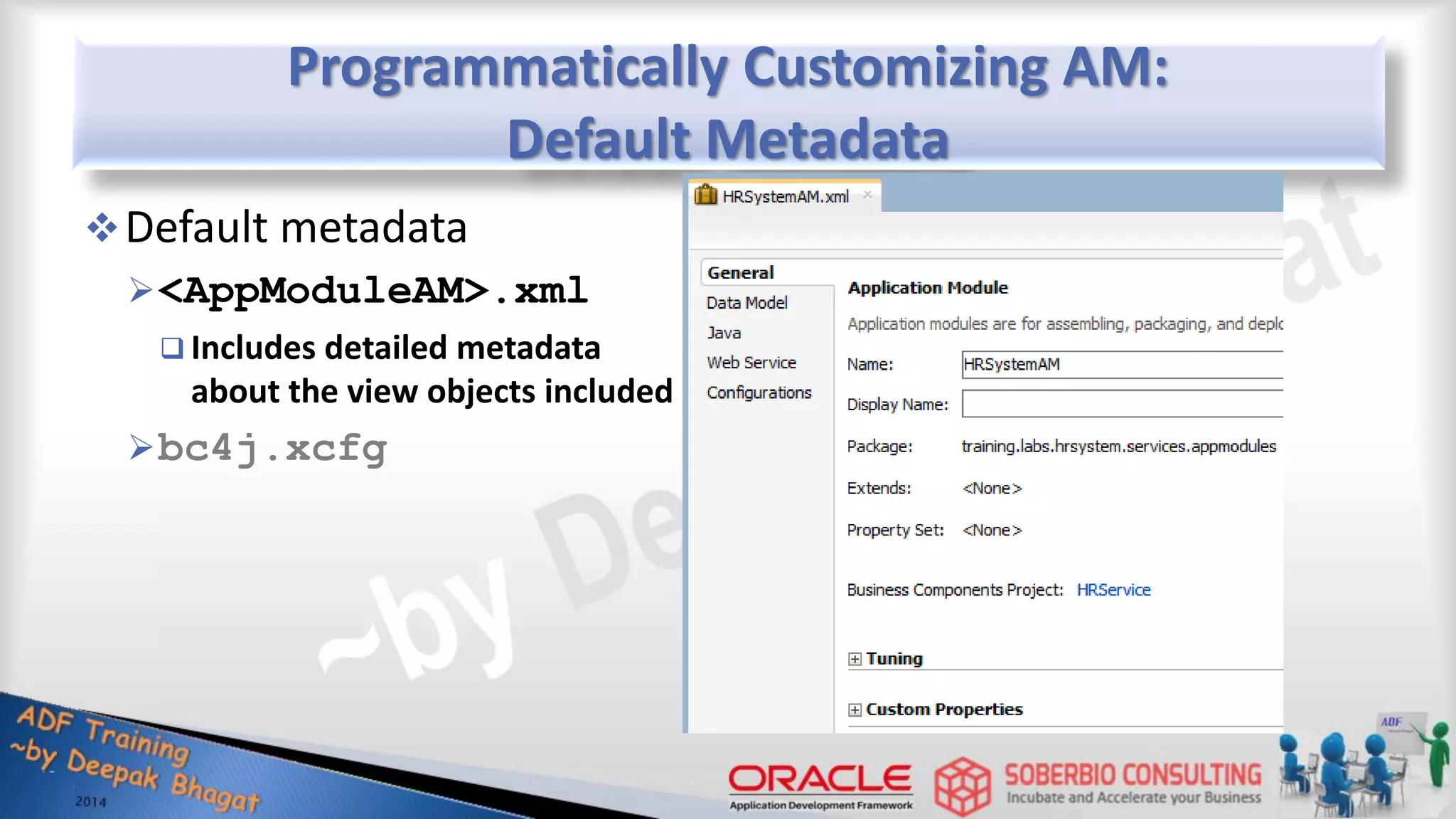 Programmatically Customizing AM: Default Metadata Default metadata <AppModuleAM>.xml  Includes detailed metadata about the view objects included bc4j.xcfg 
