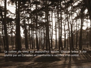 La colline de Vimy est aujourd’hui boisée. Chaque arbre a été
planté par un Canadien et représente le sacrifice d’un soldat.

 