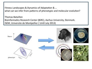  
Fitness	
  Landscapes	
  &	
  Dynamics	
  of	
  Adapta4on	
  &	
  …	
  	
  
what	
  can	
  we	
  infer	
  from	
  pa9erns	
  of	
  phenotypic	
  and	
  molecular	
  evolu4on?	
  
	
  
Thomas	
  Bataillon	
  
Bioinforma4cs	
  Research	
  Center	
  (BiRC),	
  Aarhus	
  University,	
  Denmark.	
  
ISEM,	
  Universite	
  de	
  Montpellier	
  (	
  Un4l	
  July	
  2013)	
  
 