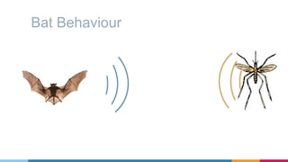 Bat Behaviours Bat algorithm explained. slides ppt pptx | PPTX