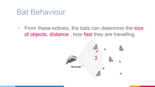 Bat algorithm explained. slides ppt pptx | PPTX