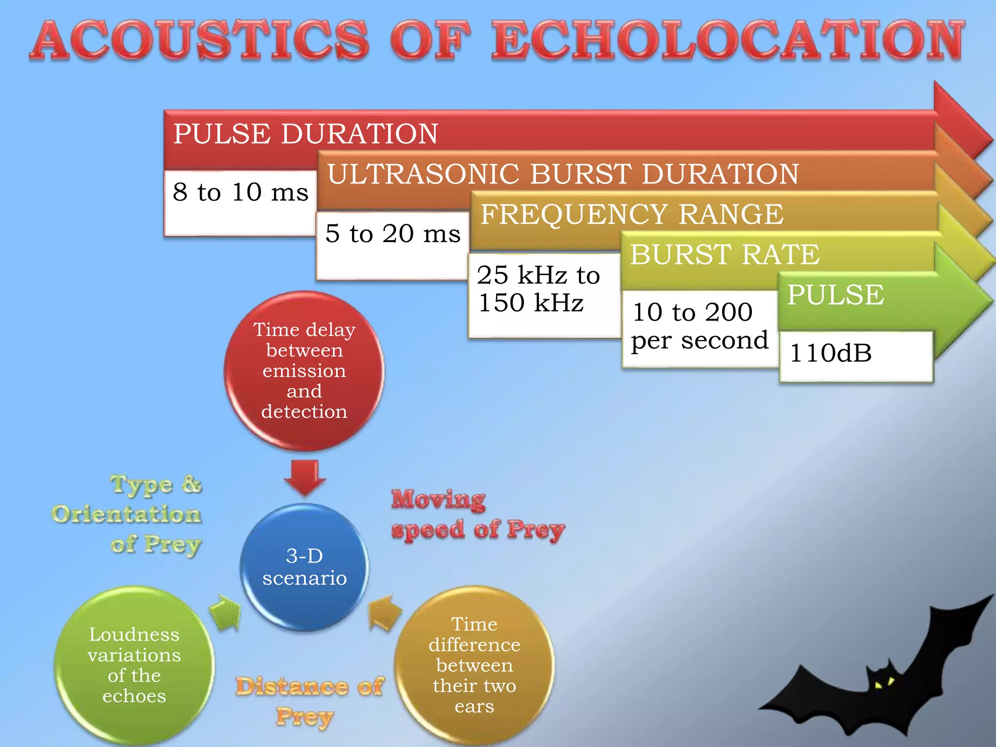 PULSE DURATION
8 to 10 ms
ULTRASONIC BURST DURATION
5 to 20 ms
FREQUENCY RANGE
25 kHz to
150 kHz
BURST RATE
10 to 200
per second
PULSE
110dB
3-D
scenario
Time delay
between
emission
and
detection
Time
difference
between
their two
ears
Loudness
variations
of the
echoes
 