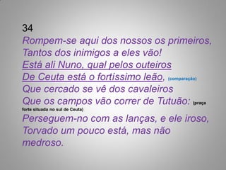 34
Rompem-se aqui dos nossos os primeiros,
Tantos dos inimigos a eles vão!
Está ali Nuno, qual pelos outeiros
De Ceuta está o fortíssimo leão, (comparação)
Que cercado se vê dos cavaleiros
Que os campos vão correr de Tutuão: (praça
forte situada no sul de Ceuta)

Perseguem-no com as lanças, e ele iroso,
Torvado um pouco está, mas não
medroso.
 