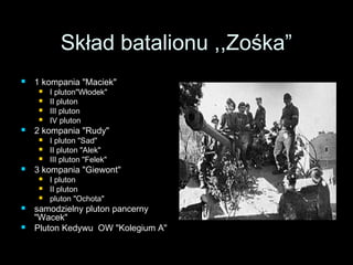 SSkkłłaadd bbaattaalliioonnuu ,,,,ZZoośśkkaa”” 
 11 kkoommppaanniiaa ""MMaacciieekk"" 
 II pplluuttoonn""WWłłooddeekk"" 
 IIII pplluuttoonn 
 IIIIII pplluuttoonn 
 IIVV pplluuttoonn 
 22 kkoommppaanniiaa ""RRuuddyy"" 
 II pplluuttoonn ""SSaadd"" 
 IIII pplluuttoonn ""AAlleekk"" 
 IIIIII pplluuttoonn ""FFeelleekk"" 
 33 kkoommppaanniiaa ""GGiieewwoonntt"" 
 II pplluuttoonn 
 IIII pplluuttoonn 
 pplluuttoonn ""OOcchhoottaa"" 
 ssaammooddzziieellnnyy pplluuttoonn ppaanncceerrnnyy 
""WWaacceekk"" 
 PPlluuttoonn KKeeddyywwuu OOWW ""KKoolleeggiiuumm AA"" 
 