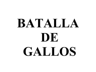 BATALLA  DE  GALLOS 