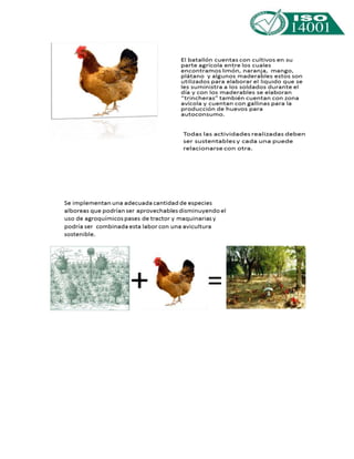 LA ISO 14001 ya esta en el campo de batalla
