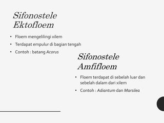 Sifonostele
Ektofloem
• Floem mengelilingi xilem
• Terdapat empulur di bagian tengah
• Contoh : batang Acorus
• Floem terdapat di sebelah luar dan
sebelah dalam dari xilem
• Contoh : Adiantum dan Marsilea
Sifonostele
Amfifloem
 