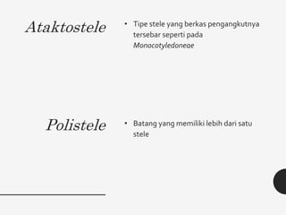 Ataktostele
Polistele
• Tipe stele yang berkas pengangkutnya
tersebar seperti pada
Monocotyledoneae
• Batang yang memiliki lebih dari satu
stele
 