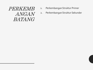PERKEMB
ANGAN
BATANG
1. Perkembangan Struktur Primer
2. Perkembangan Struktur Sekunder
 