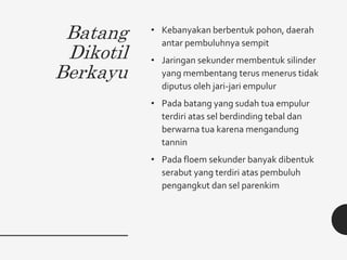 Batang
Dikotil
Berkayu
• Kebanyakan berbentuk pohon, daerah
antar pembuluhnya sempit
• Jaringan sekunder membentuk silinder
yang membentang terus menerus tidak
diputus oleh jari-jari empulur
• Pada batang yang sudah tua empulur
terdiri atas sel berdinding tebal dan
berwarna tua karena mengandung
tannin
• Pada floem sekunder banyak dibentuk
serabut yang terdiri atas pembuluh
pengangkut dan sel parenkim
 