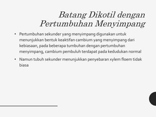Batang Dikotil dengan
Pertumbuhan Menyimpang
• Pertumbuhan sekunder yang menyimpang digunakan untuk
menunjukkan bentuk keaktifan cambium yang menyimpang dari
kebiasaan, pada beberapa tumbuhan dengan pertumbuhan
menyimpang, cambium pembuluh terdapat pada kedudukan normal
• Namun tubuh sekunder menunjukkan penyebaran xylem floem tidak
biasa
 