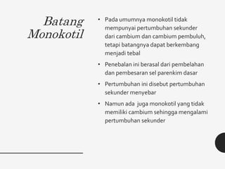 Batang
Monokotil
• Pada umumnya monokotil tidak
mempunyai pertumbuhan sekunder
dari cambium dan cambium pembuluh,
tetapi batangnya dapat berkembang
menjadi tebal
• Penebalan ini berasal dari pembelahan
dan pembesaran sel parenkim dasar
• Pertumbuhan ini disebut pertumbuhan
sekunder menyebar
• Namun ada juga monokotil yang tidak
memiliki cambium sehingga mengalami
pertumbuhan sekunder
 