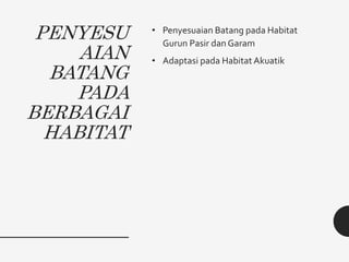 PENYESU
AIAN
BATANG
PADA
BERBAGAI
HABITAT
• Penyesuaian Batang pada Habitat
Gurun Pasir dan Garam
• Adaptasi pada Habitat Akuatik
 