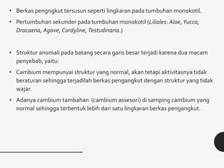 • Berkas pengngkut tersusun seperti lingkaran pada tumbuhan monokotil.
• Pertumbuhan sekunder pada tumbuhan monokotil (Liliales: Aloe, Yucca,
Dracaena, Agave, Cordyline, Testudinaria.)
• Struktur anomali pada batang secara garis besar terjadi karena dua macam
penyebab, yaitu:
• Cambium mempunyai struktur yang normal, akan tetapi aktivitasnya tidak
beraturan sehingga terjadilah berkas pengangkut dengan struktur yang tidak
wajar.
• Adanya cambium tambahan (cambium assesori) di samping cambium yang
normal sehingga terbentuk lebih dari satu lingkaran berkas pengangkut.
 