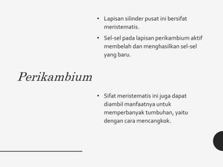 Perikambium
• Lapisan silinder pusat ini bersifat
meristematis.
• Sel-sel pada lapisan perikambium aktif
membelah dan menghasilkan sel-sel
yang baru.
• Sifat meristematis ini juga dapat
diambil manfaatnya untuk
memperbanyak tumbuhan, yaitu
dengan cara mencangkok.
 