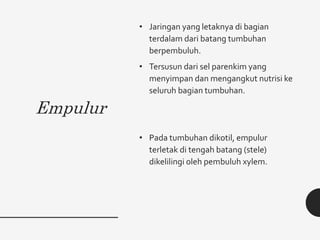 Empulur
• Jaringan yang letaknya di bagian
terdalam dari batang tumbuhan
berpembuluh.
• Tersusun dari sel parenkim yang
menyimpan dan mengangkut nutrisi ke
seluruh bagian tumbuhan.
• Pada tumbuhan dikotil, empulur
terletak di tengah batang (stele)
dikelilingi oleh pembuluh xylem.
 