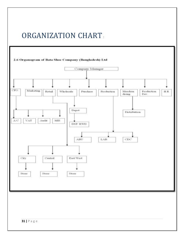 Shoe Company Organizational Chart