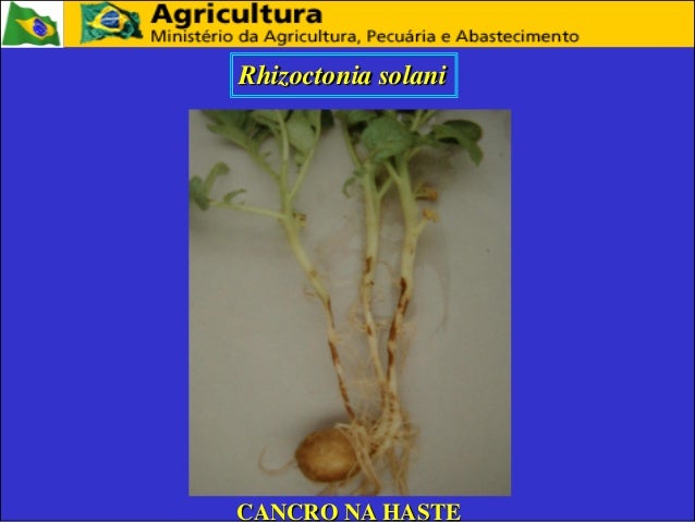 Medicina de fungo de pé eficaz