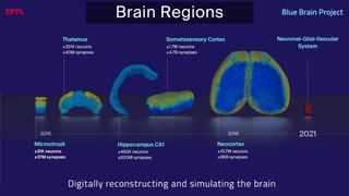 BATBern53  - EPFL - Blue Brain and related technical challenges