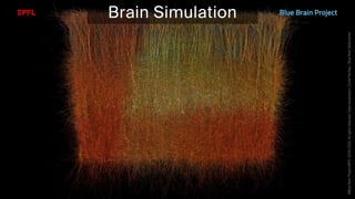 BATBern53  - EPFL - Blue Brain and related technical challenges