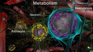 BATBern53  - EPFL - Blue Brain and related technical challenges