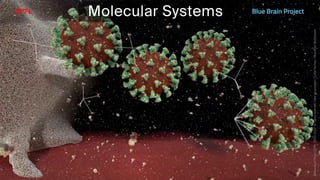 BATBern53  - EPFL - Blue Brain and related technical challenges