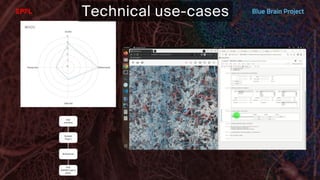 BATBern53  - EPFL - Blue Brain and related technical challenges