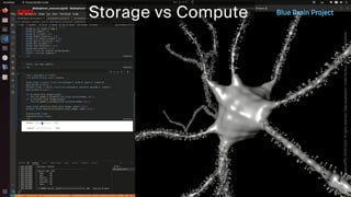 BATBern53  - EPFL - Blue Brain and related technical challenges