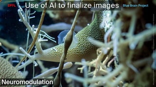 BATBern53  - EPFL - Blue Brain and related technical challenges