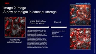 BATBern53  - EPFL - Blue Brain and related technical challenges