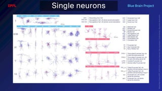 BATBern53  - EPFL - Blue Brain and related technical challenges