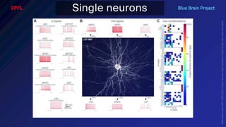 BATBern53  - EPFL - Blue Brain and related technical challenges